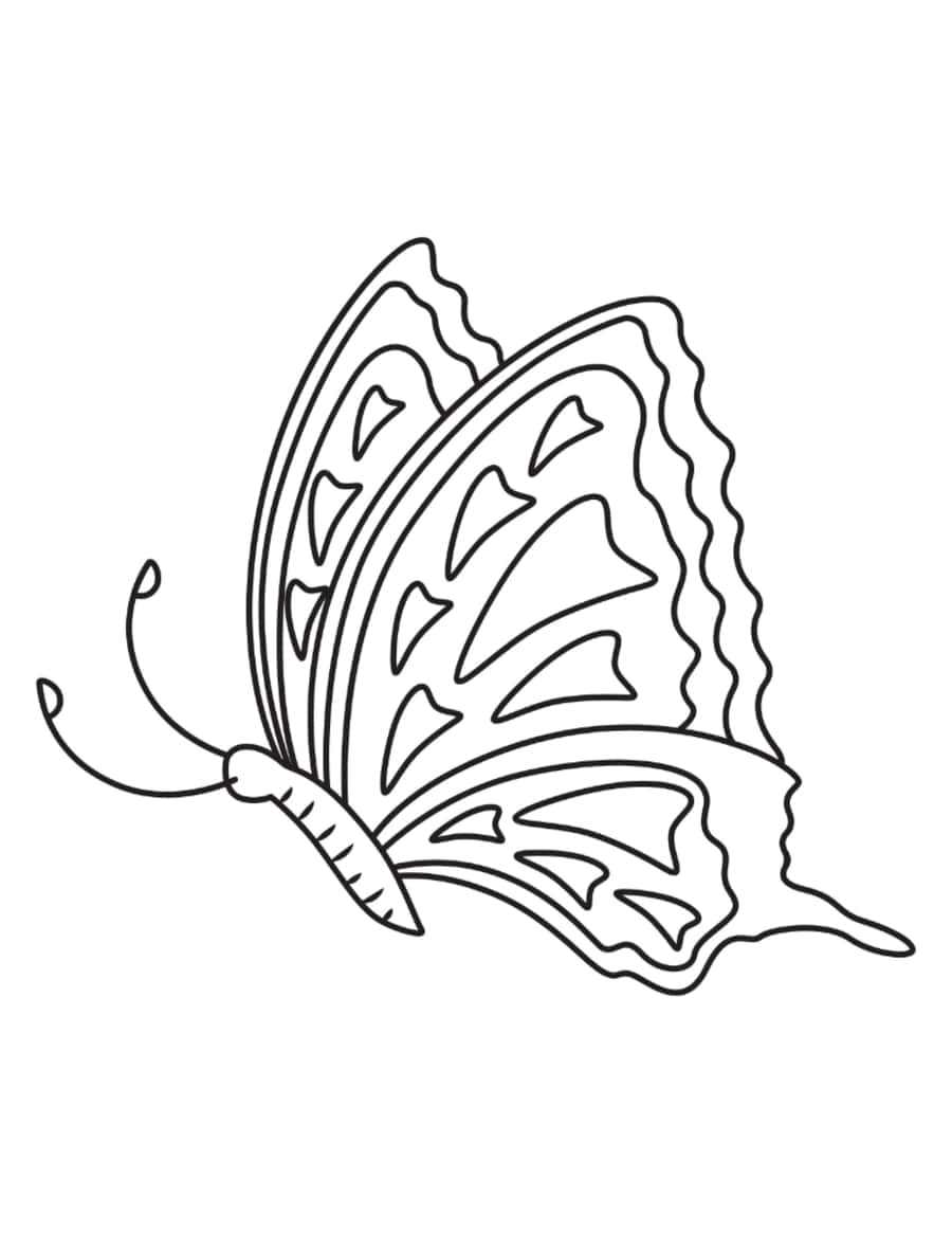 Butterfly Triangles Side View Coloring Pages Pdf Free Vectors